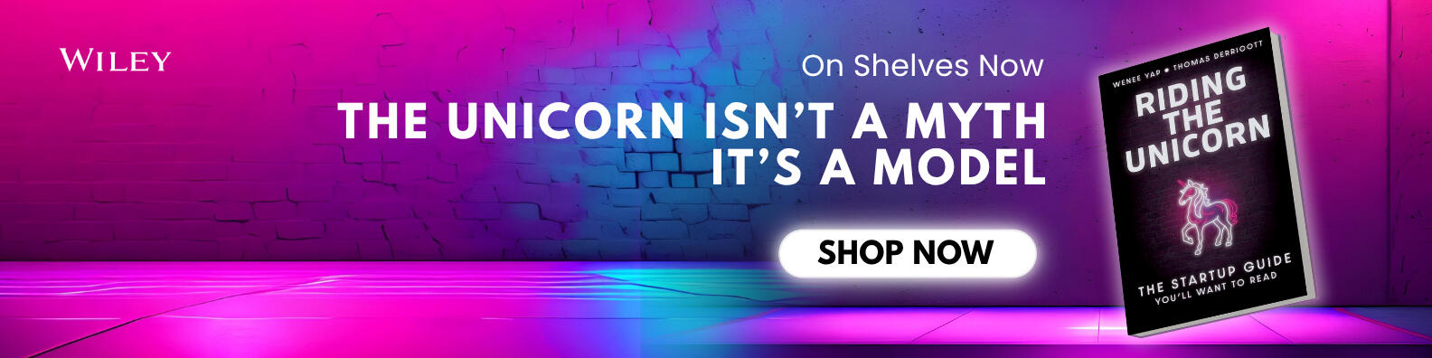 Riding the Unicorn Astronaut