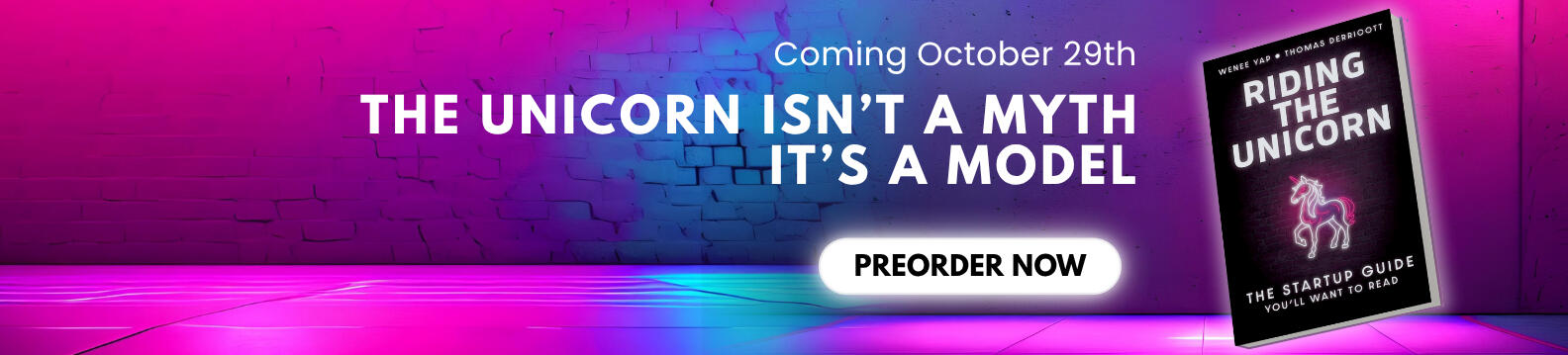 Riding the Unicorn Astronaut